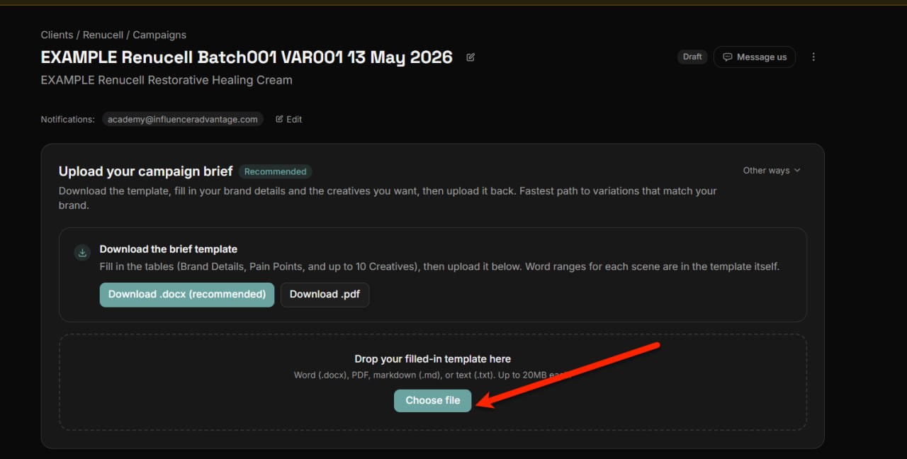 The brief upload area with the Choose file button highlighted. The page shows the campaign header at the top with the campaign name and product name.