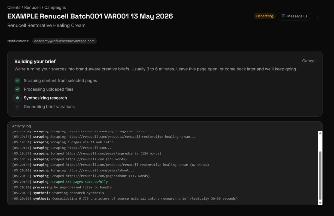 A Building your brief panel with four progress steps, three checked and one in progress. Below, an Activity log shows scraping and synthesis log lines with timestamps.
